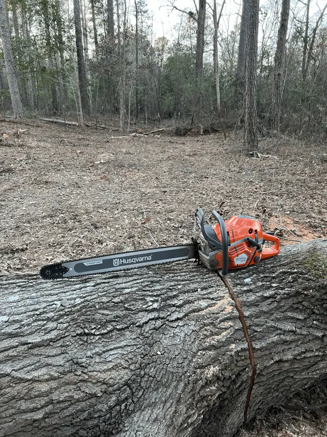 Orange chainsaw resting on a large felled trunk in the woods
