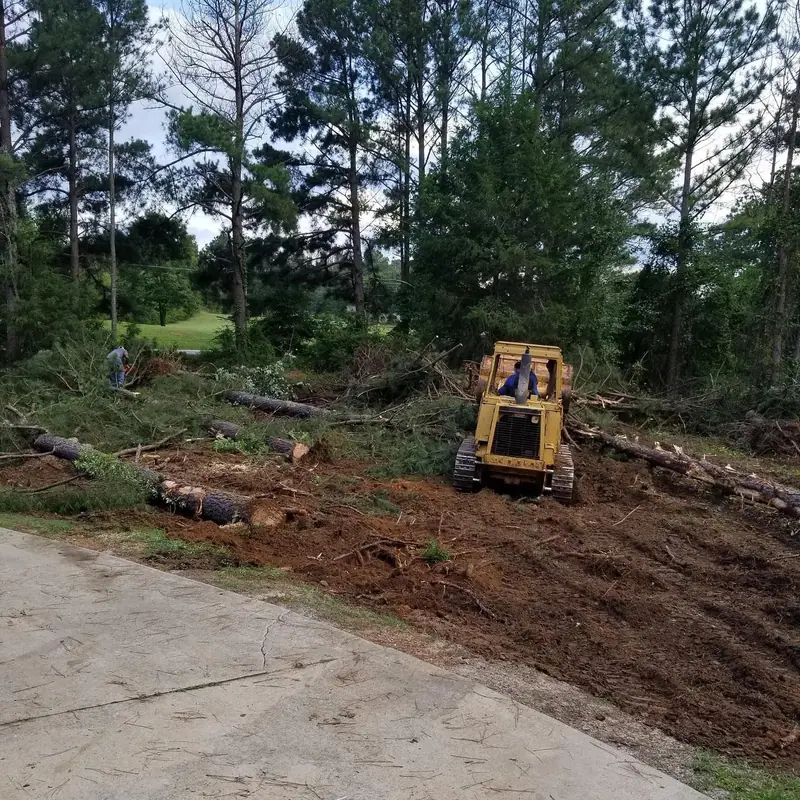 Yellow tracked machine clearing brush and felled trees from a wooded lot