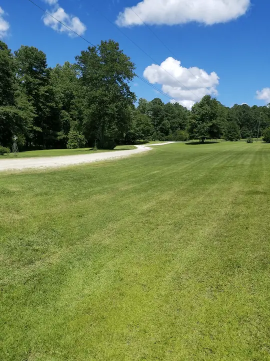 Wide striped lawn under a bright blue sky with puffy clouds