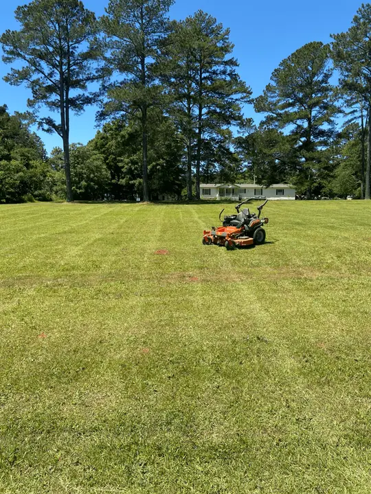 Orange zero-turn mower cutting stripes into a wide lawn edged by tall pines