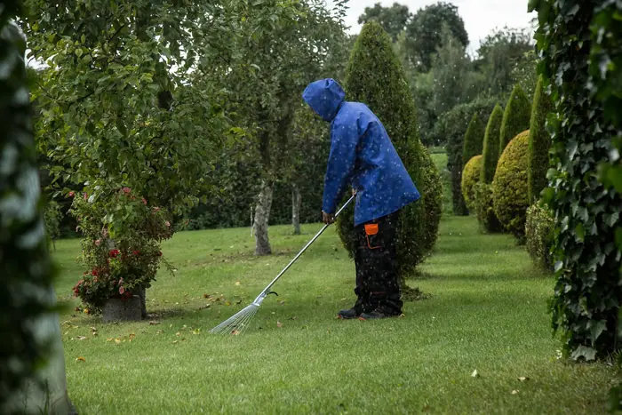 Worker in a rain jacket raking fallen leaves off a lawn
