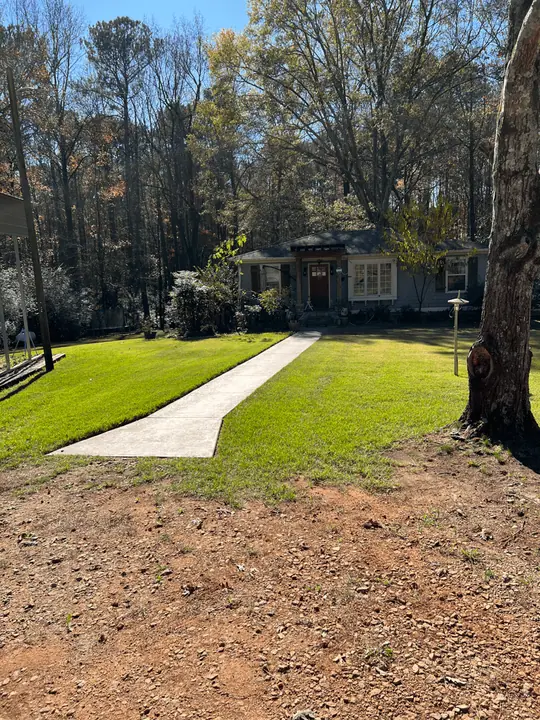 New sod on both sides of a front walk, with red clay still showing in the foreground