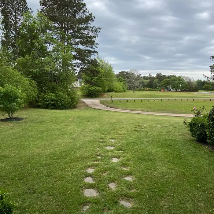 Stepping stones crossing a wide, freshly cut lawn