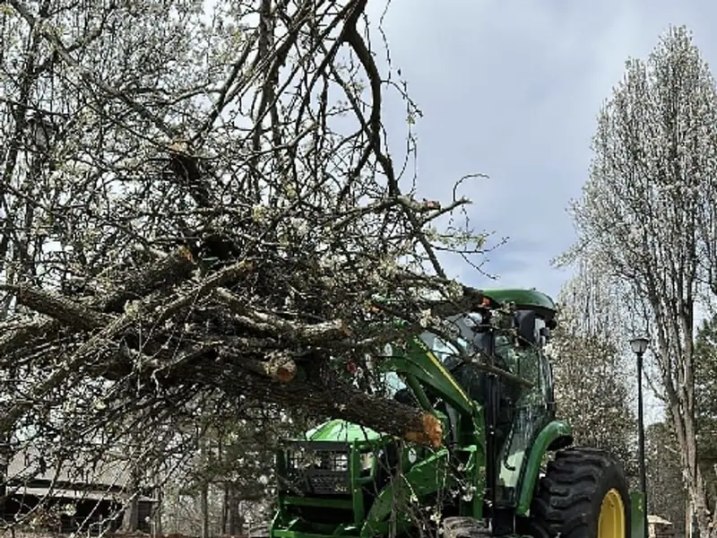 Tractor loader lifting a load of limbs from a flowering tree